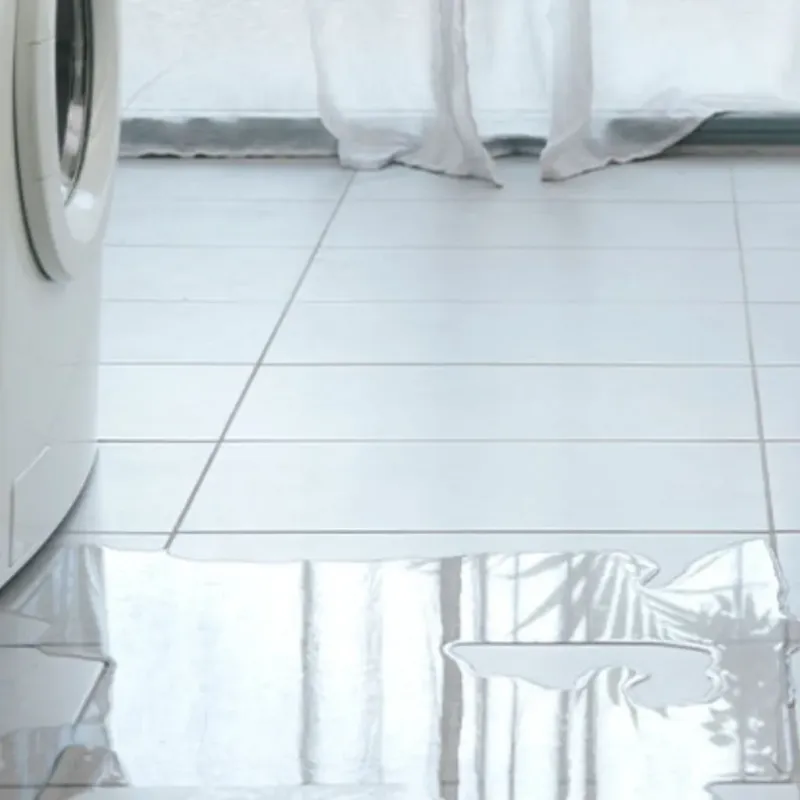 Appliance Leak Cleanup in Roberts County, TX