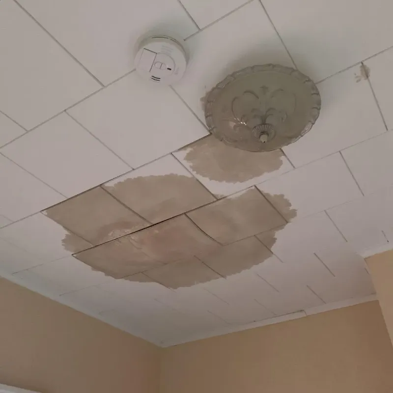 Ceiling Water Damage Repair in Roberts County, TX