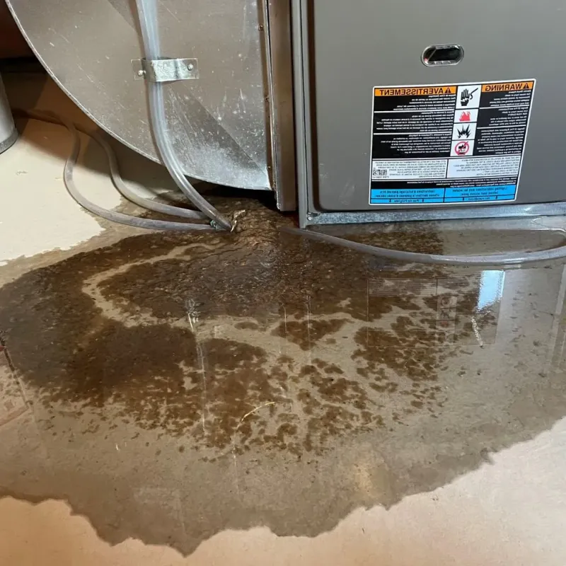 Pipe Burst and Leak Restoration in Roberts County, TX
