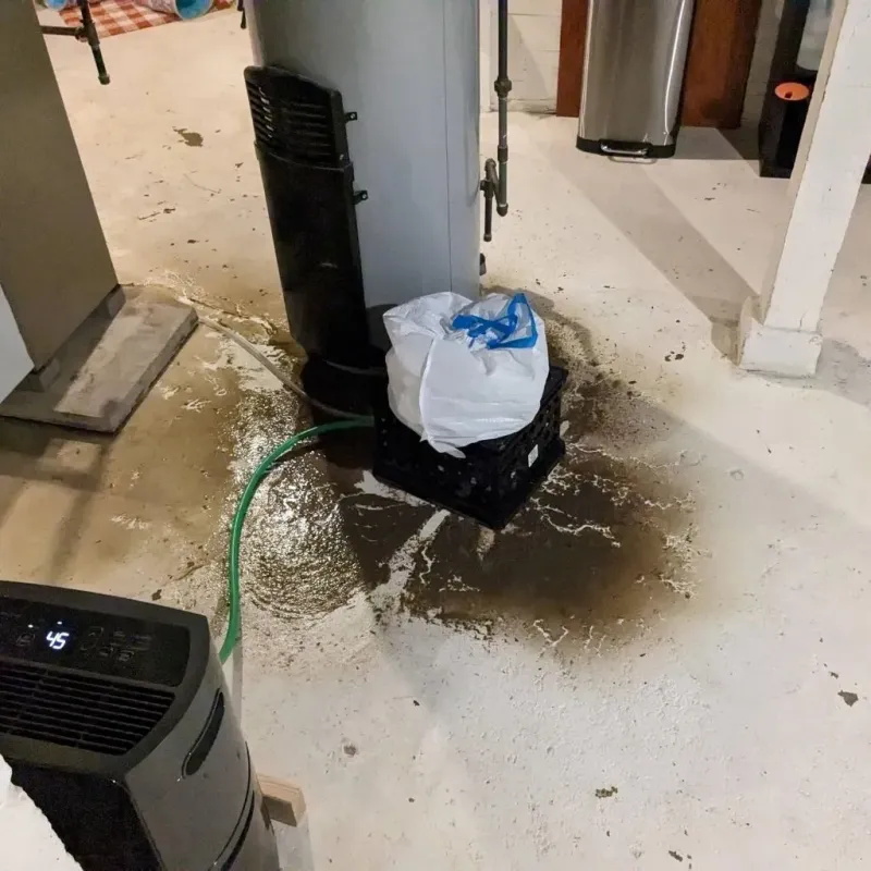 Sewage Backup Cleanup Service in Roberts County, TX